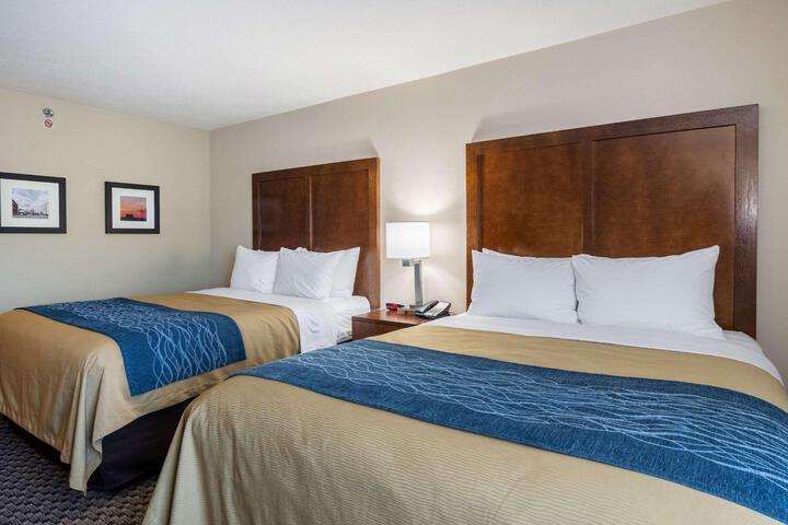 2 Queen Beds (8 of 18)