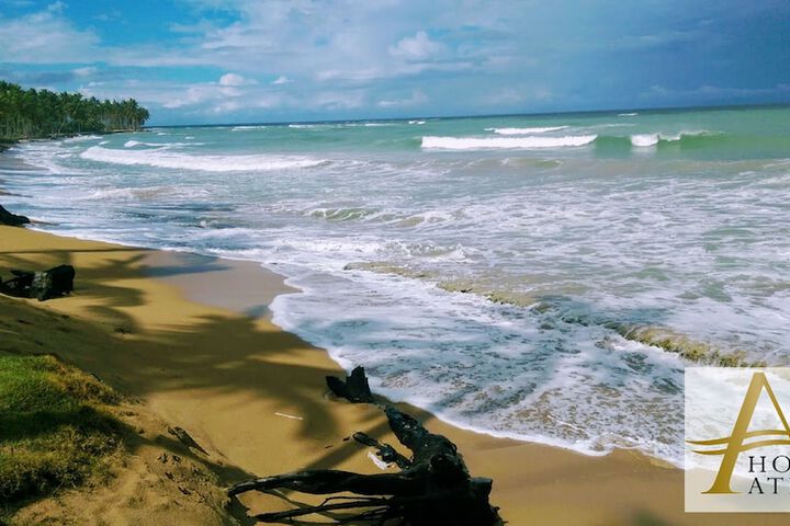 Beach 68 of 79