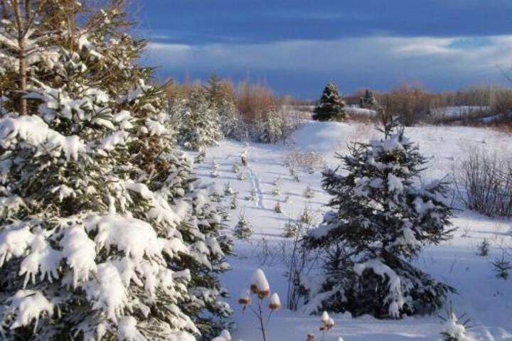 Image of Gite Au Bonheur Du Voyageur B & B