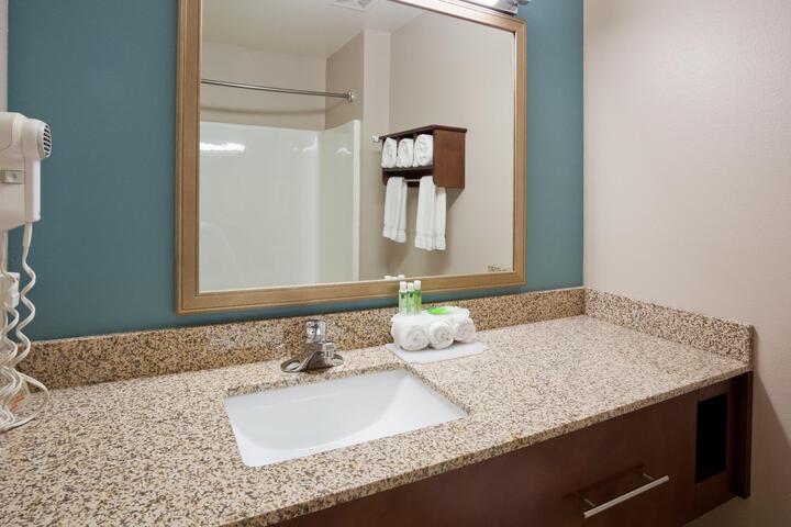 1 King Bed Suite Mobility Accessible Tran Shower (13 of 20)