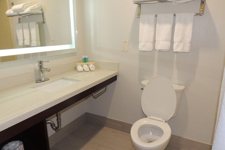 1 King Bed Suite (9 of 23)