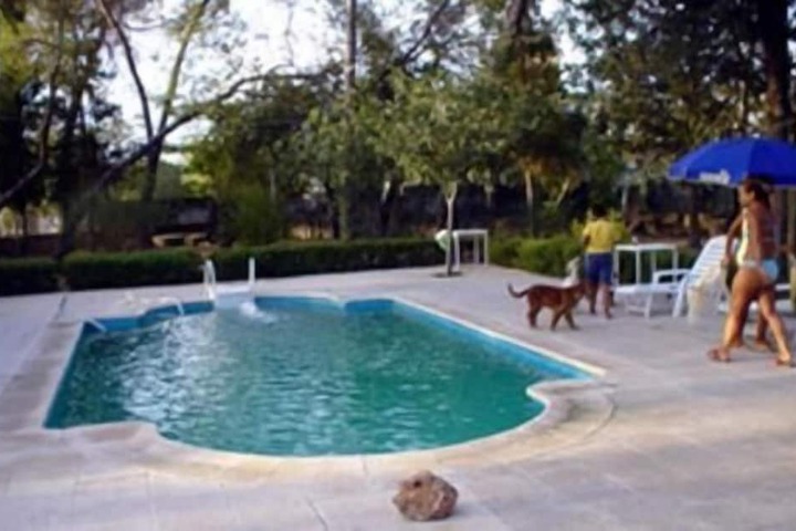 Pool 29 of 49