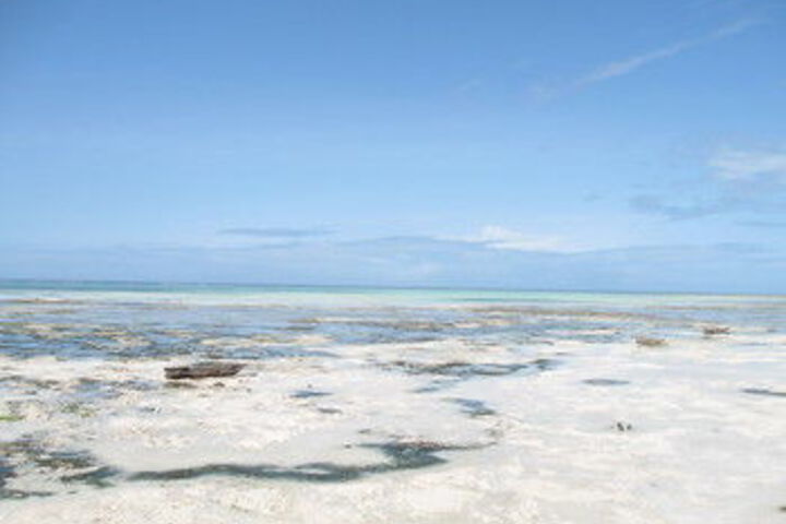 Beach 17 of 63