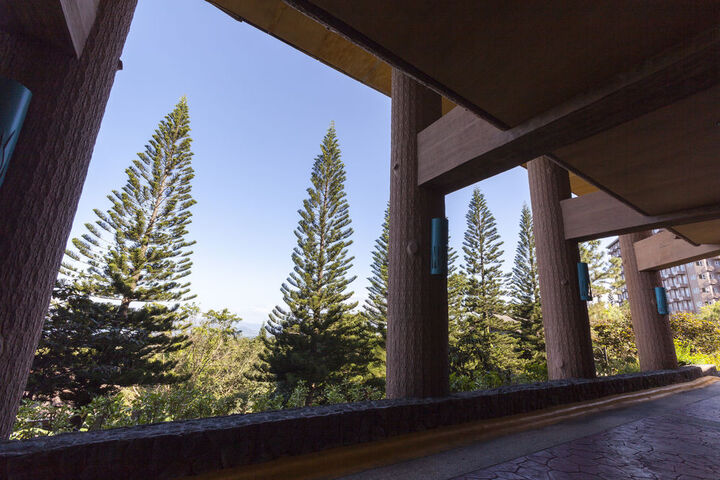 Terrace/Patio 55 of 169