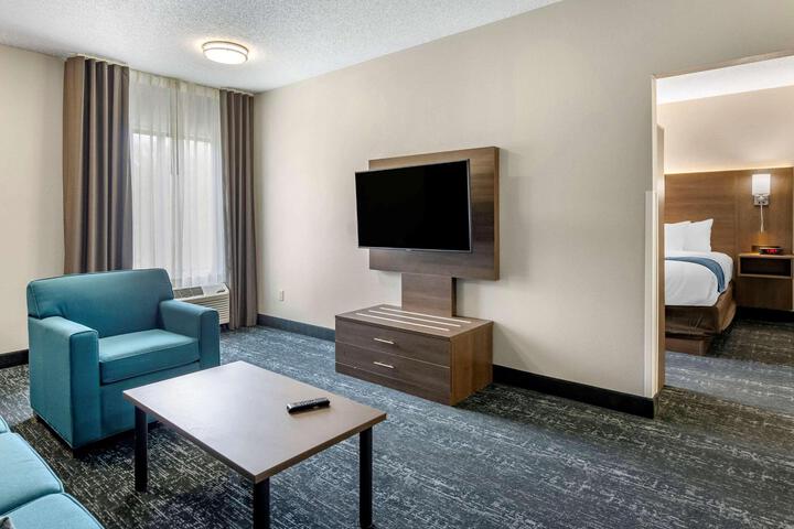 1 King Bed Pet Friendly (1 of 13)