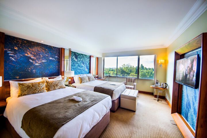 Room 3 of 59