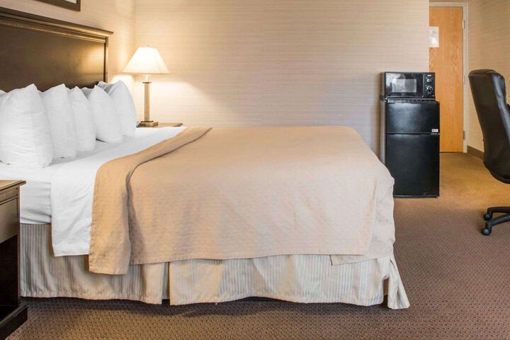 Standard King Bed Accessible (9 of 17)
