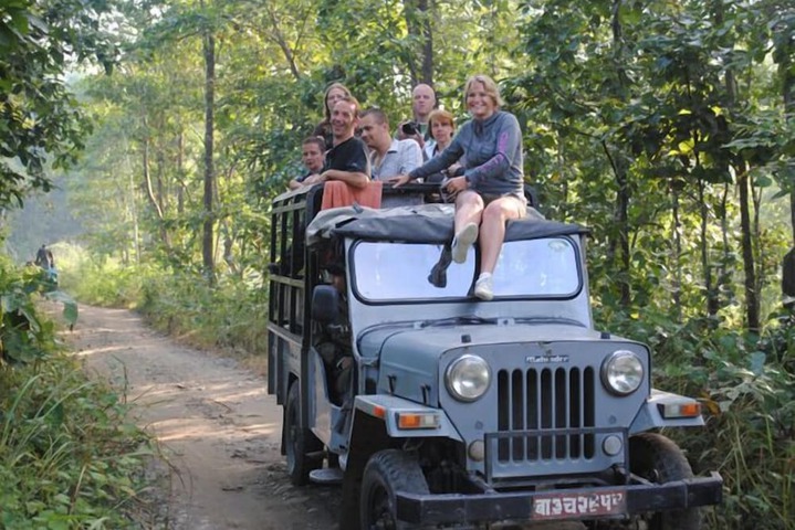 Safari