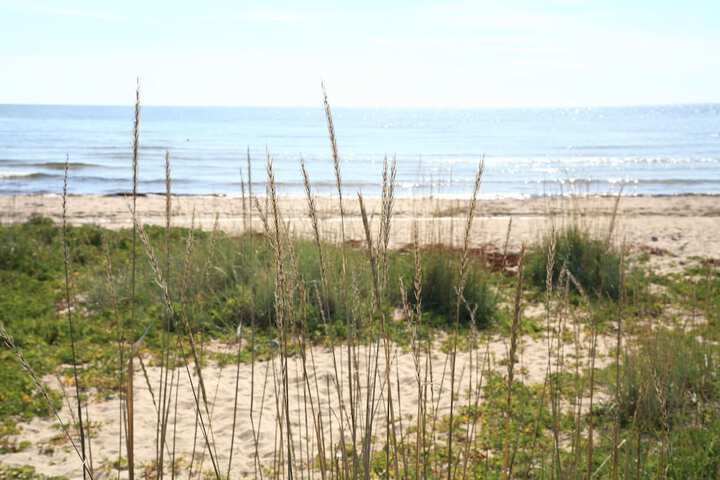 Beach 30 of 39