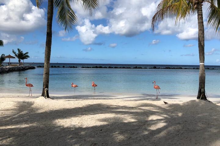 Beach 141 of 165