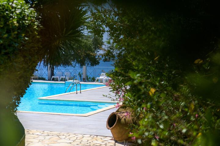 Pool 45 of 65