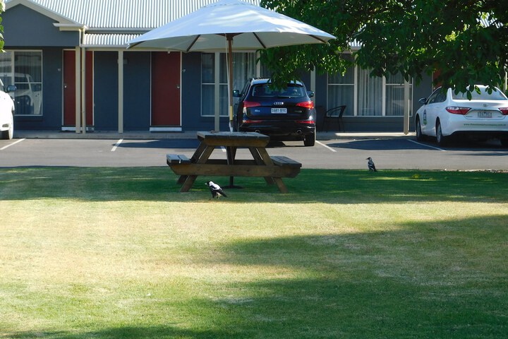 Property Grounds 34 of 39