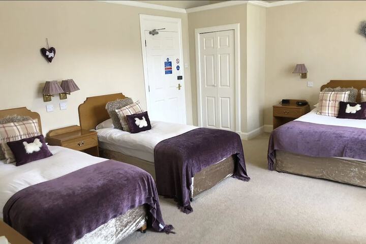 Room 14 of 54