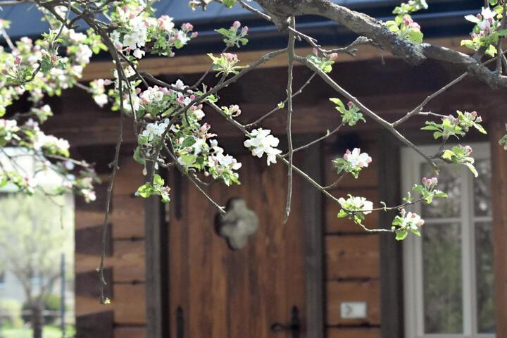 Photo 26