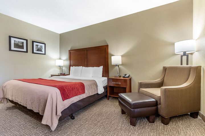 1 King Bed (8 of 13)