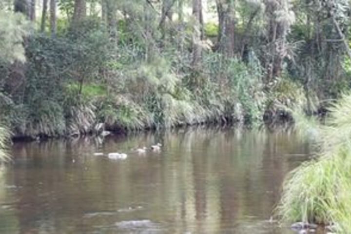 Property Grounds 18 of 20