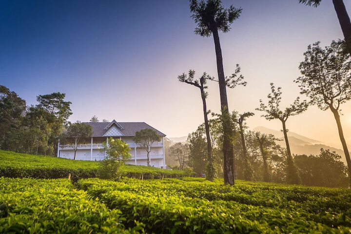 Exterior of Tea Harvester Munnar