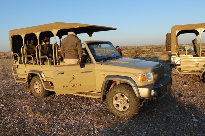 Safari