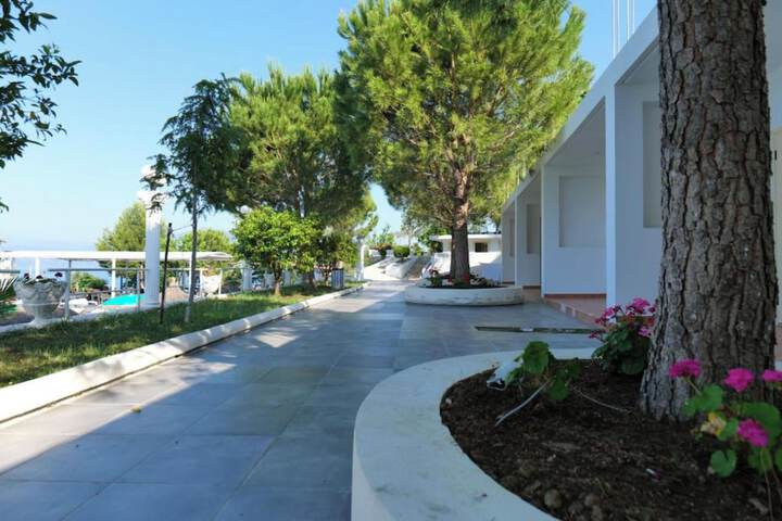 Terrace/Patio 19 of 50