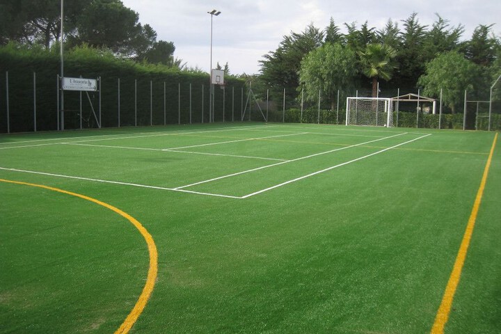 Sport court