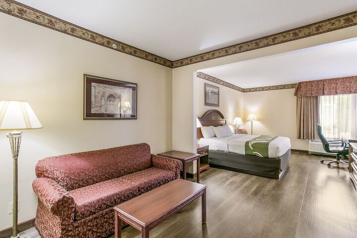 1 King Bed (6 of 9)