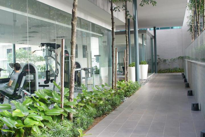 Pakoo Suite