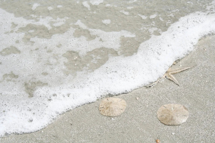 Beach 11 of 15