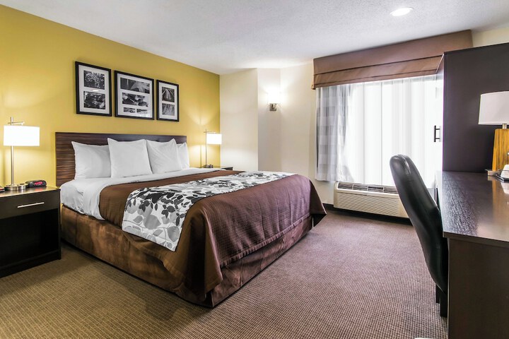 1 King Bed (6 of 7)