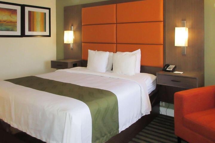 1 King Bed (8 of 16)