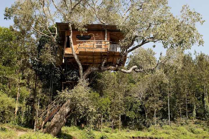 Property Grounds 17 of 38
