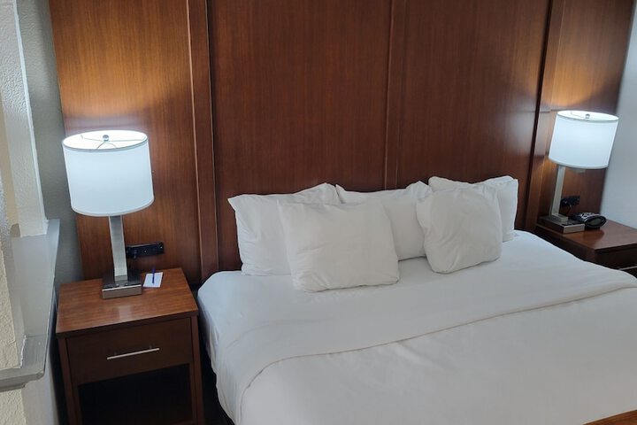 1 King Bed Suite (13 of 21)