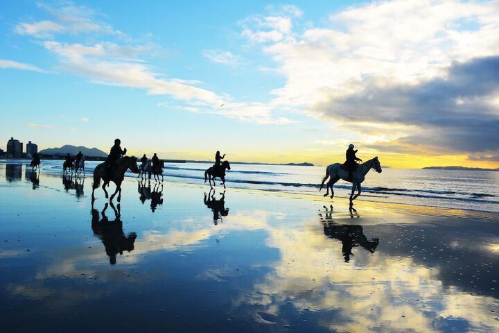 Horseback riding