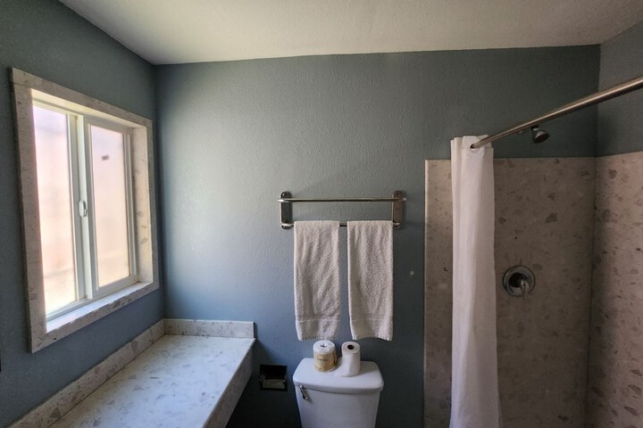 Basic Room 1 King Bed Refrigerator, Microwave (12 of 13)