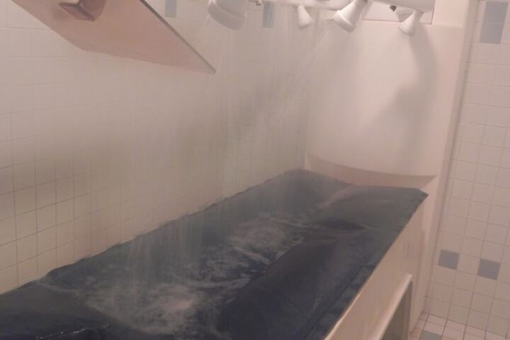 Spa Massage