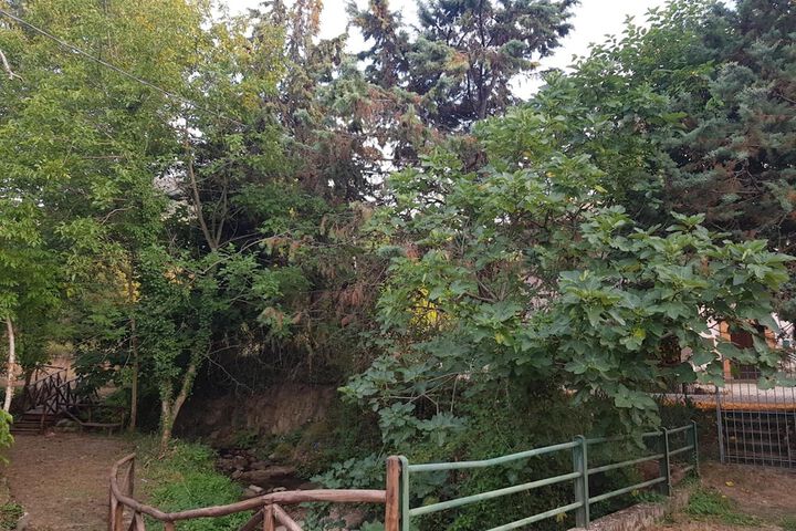 Property Grounds 22 of 33