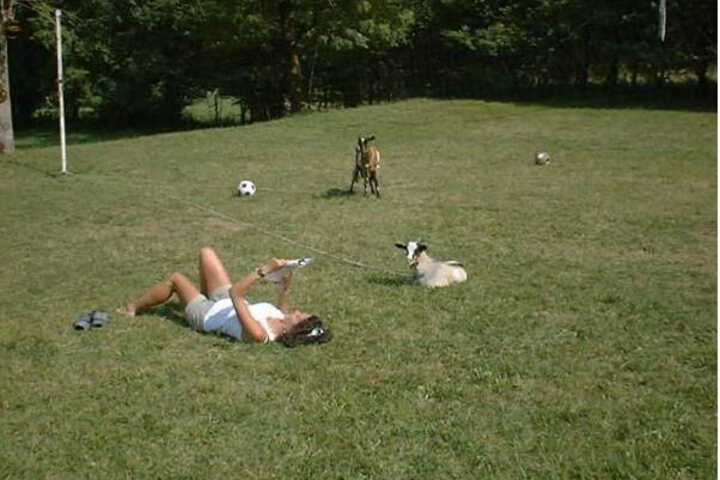 Photo 20
