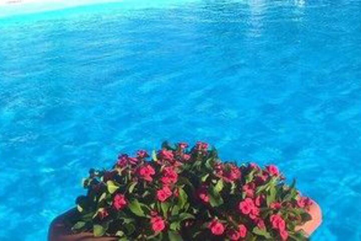 Pool 58 of 68