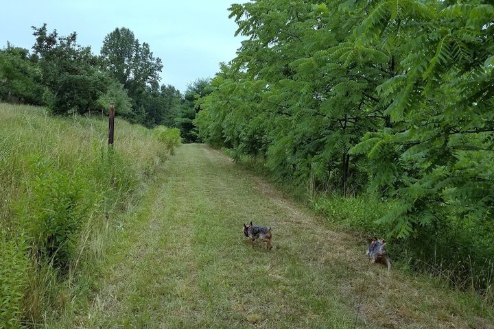 Outdoor Activities 28 of 53