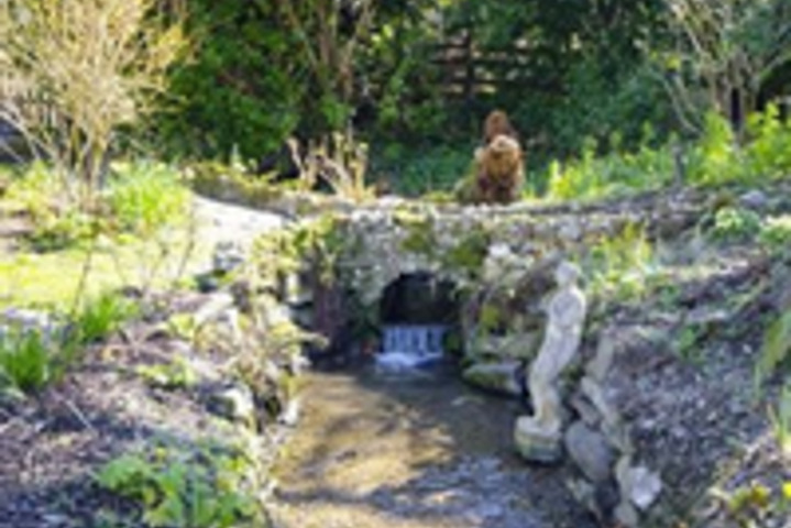 Spa and Wellness Pictures