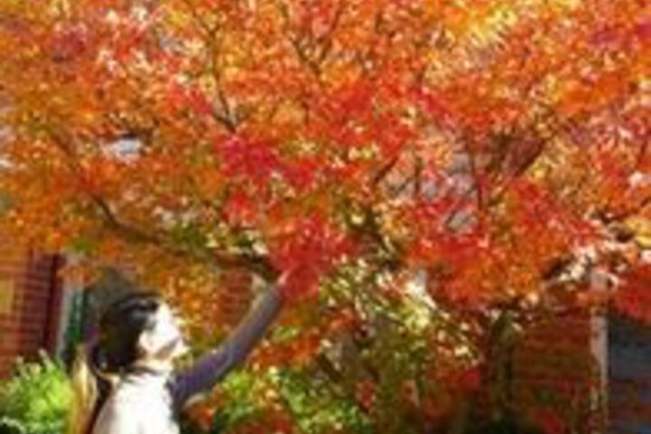 Property Grounds 34 of 38