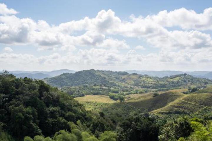 Image of Hacienda Margarita
