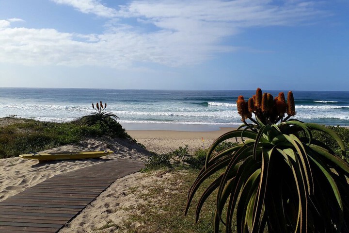 Beach 21 of 28