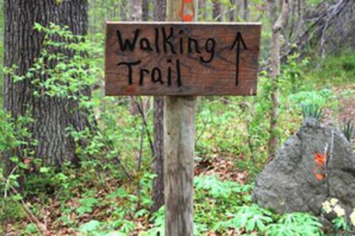 Outdoor Activities 205 of 285
