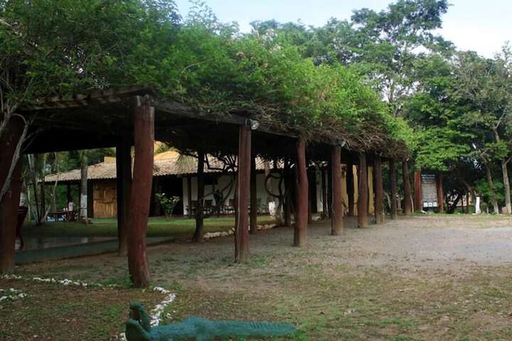 Property Grounds 14 of 19