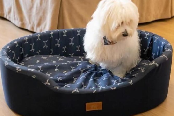 Pet Friendly 66 of 135