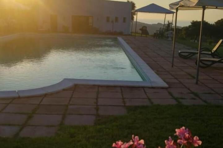 Pools & Facilities