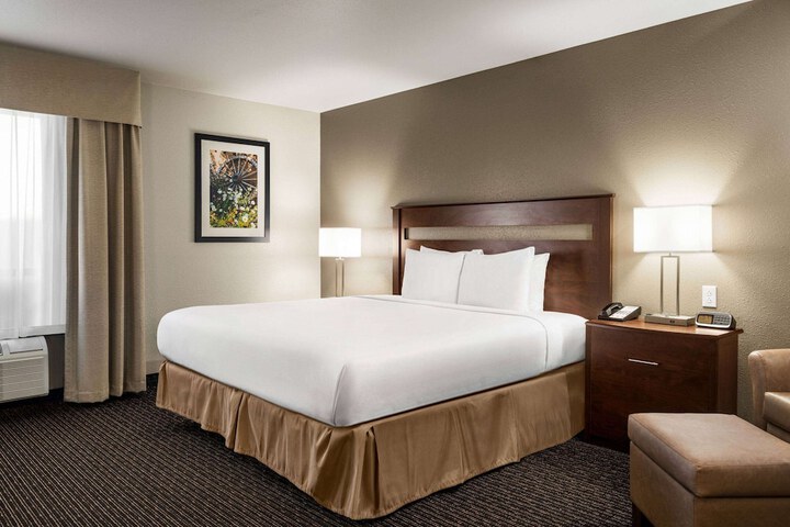 1 King Bed Mobility Accessible (1 of 11)