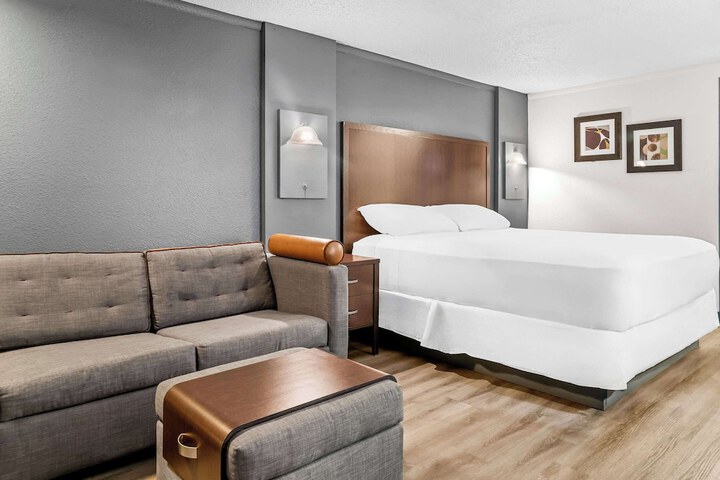 1 King Bed (1 of 3)