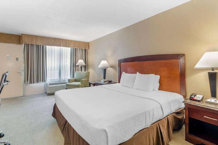 1 King Bed (11 of 13)