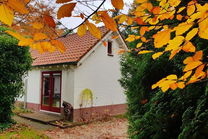 Photo of Dennenhuis